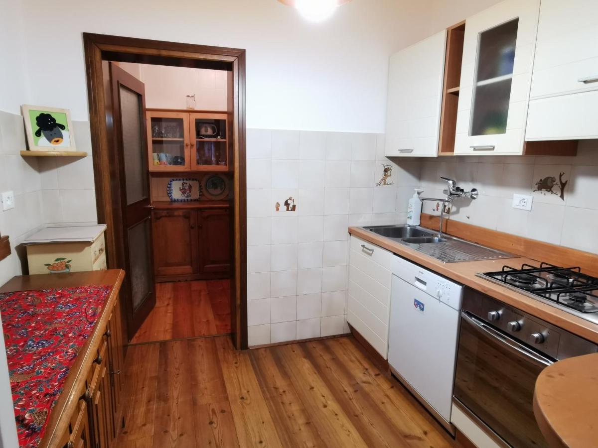Casa Phoenix Appartamento Piano Terra Immerso Nel Verde A Pochi Minuti Dalla Ciclabile Пиеве ди Кадоре Екстериор снимка