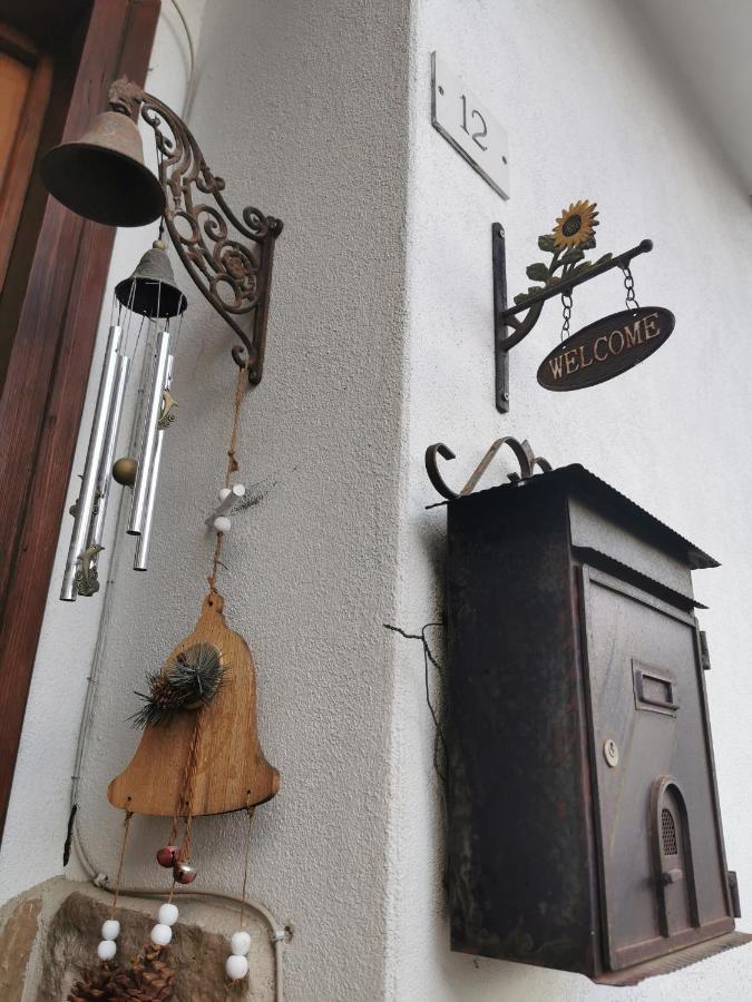 Casa Phoenix Appartamento Piano Terra Immerso Nel Verde A Pochi Minuti Dalla Ciclabile Пиеве ди Кадоре Екстериор снимка